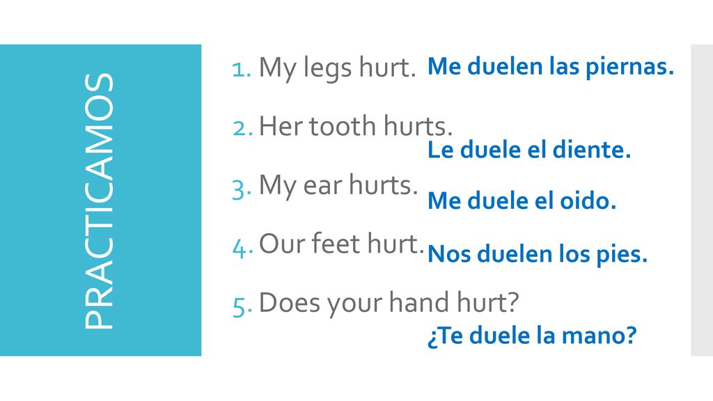 PRACTICAMOS My legs hurt. Her tooth hurts. My ear hurts.