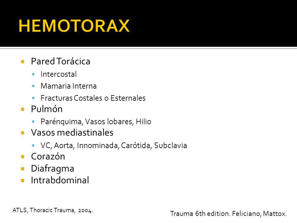 HEMOTORAX Pared Torácica Pulmón Vasos mediastinales Corazón Diafragma