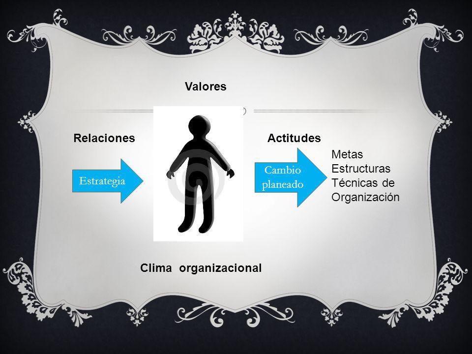 Valores Relaciones. Actitudes. Cambio planeado. Metas. Estructuras. Técnicas de Organización. Estrategia.