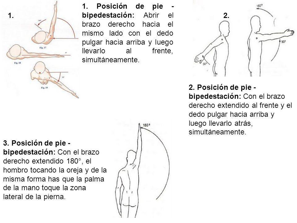 1. Posición de pie - bipedestación: Abrir el brazo derecho hacia el mismo lado con el dedo pulgar hacia arriba y luego llevarlo al frente, simultáneamente.
