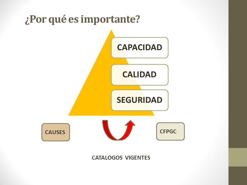 ¿Por qué es importante CAPACIDAD CALIDAD SEGURIDAD CAUSES CFPGC