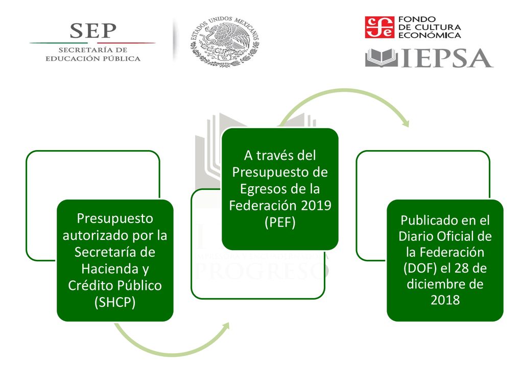A través del Presupuesto de Egresos de la Federación 2019 (PEF)