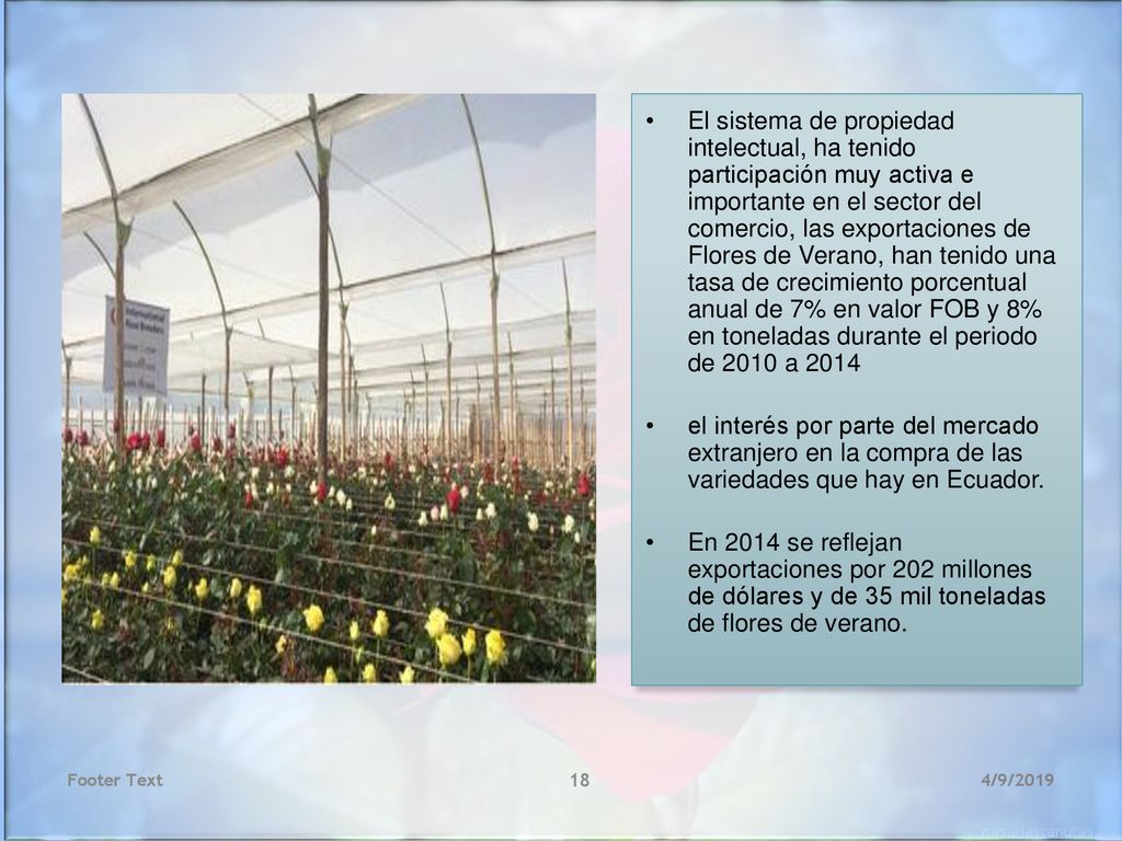El sistema de propiedad intelectual, ha tenido participación muy activa e importante en el sector del comercio, las exportaciones de Flores de Verano, han tenido una tasa de crecimiento porcentual anual de 7% en valor FOB y 8% en toneladas durante el periodo de 2010 a 2014