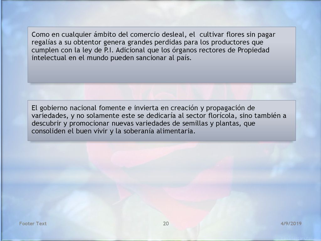 Como en cualquier ámbito del comercio desleal, el cultivar flores sin pagar regalías a su obtentor genera grandes perdidas para los productores que cumplen con la ley de P.I. Adicional que los órganos rectores de Propiedad intelectual en el mundo pueden sancionar al país.