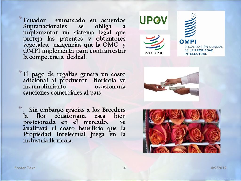 Ecuador enmarcado en acuerdos Supranacionales se obliga a implementar un sistema legal que proteja las patentes y obtentores vegetales. exigencias que la OMC y OMPI implementa para contrarrestar la competencia desleal.