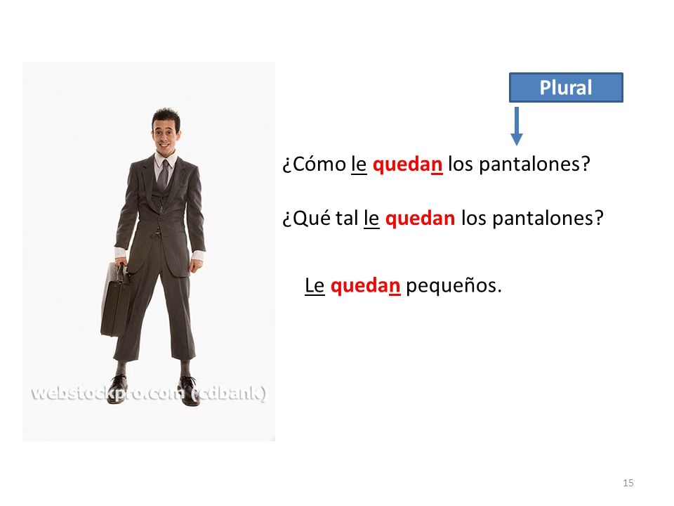 Plural ¿Cómo le quedan los pantalones ¿Qué tal le quedan los pantalones Le quedan pequeños.