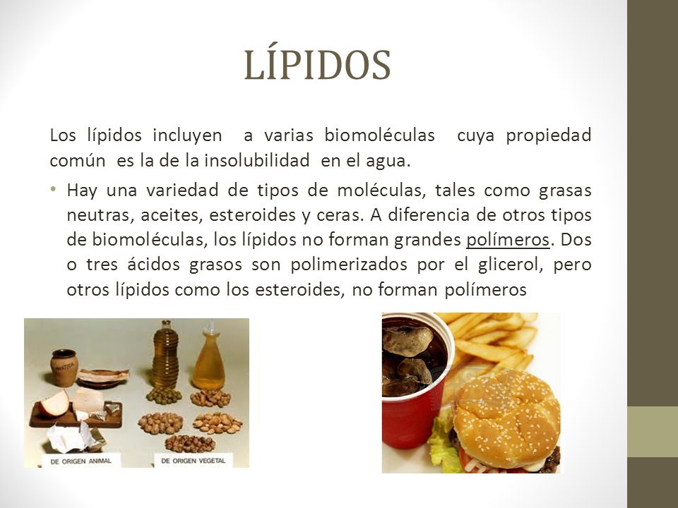 LÍPIDOS Los lípidos incluyen a varias biomoléculas cuya propiedad común es la de la insolubilidad en el agua.