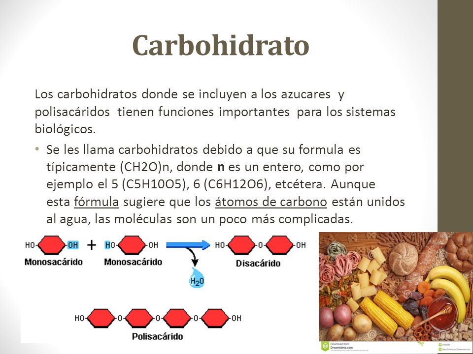 Carbohidrato Los carbohidratos donde se incluyen a los azucares y polisacáridos tienen funciones importantes para los sistemas biológicos.