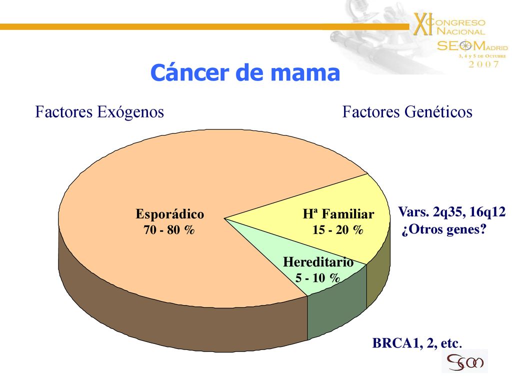 Cáncer de mama Factores Exógenos Factores Genéticos Esporádico