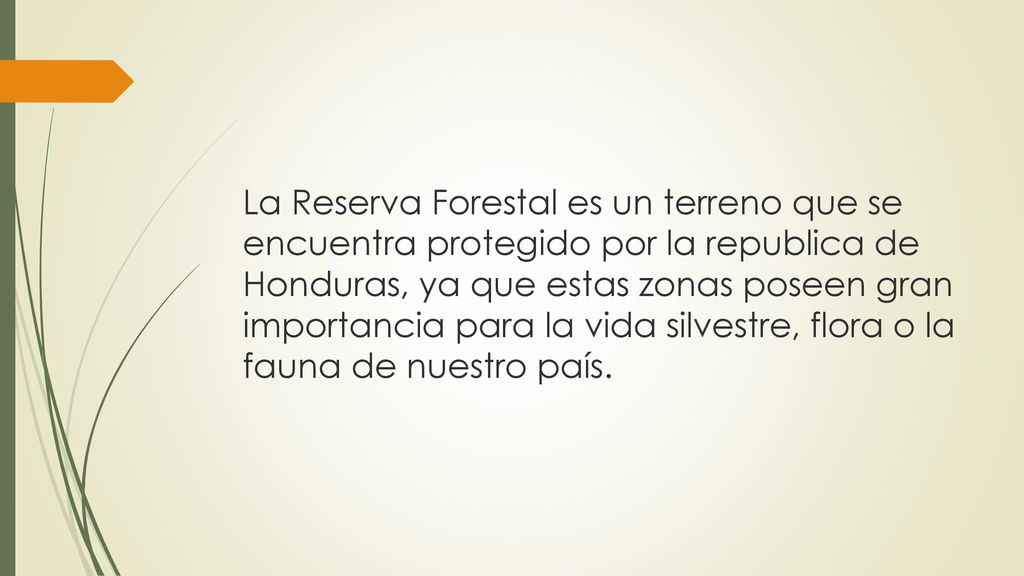 La Reserva Forestal es un terreno que se encuentra protegido por la republica de Honduras, ya que estas zonas poseen gran importancia para la vida silvestre, flora o la fauna de nuestro país.