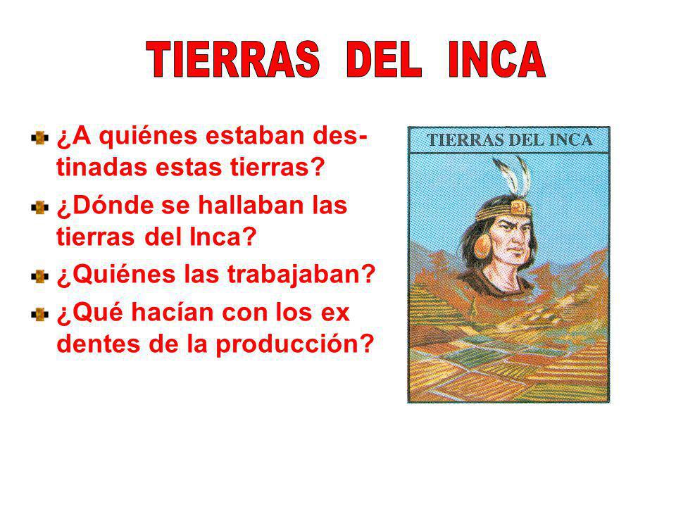 TIERRAS DEL INCA ¿A quiénes estaban des- tinadas estas tierras ¿Dónde se hallaban las tierras del Inca