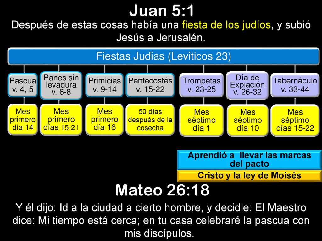 Aprendió a llevar las marcas del pacto Cristo y la ley de Moisés