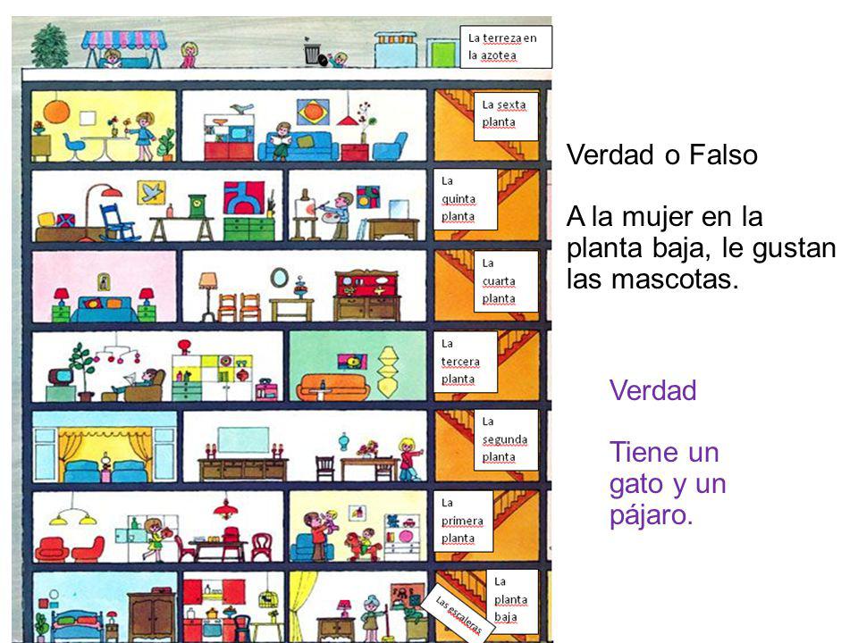 Verdad o Falso A la mujer en la. planta baja, le gustan.