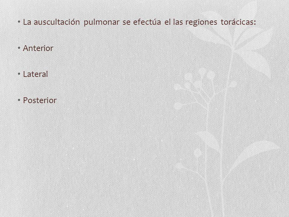 La auscultación pulmonar se efectúa el las regiones torácicas:
