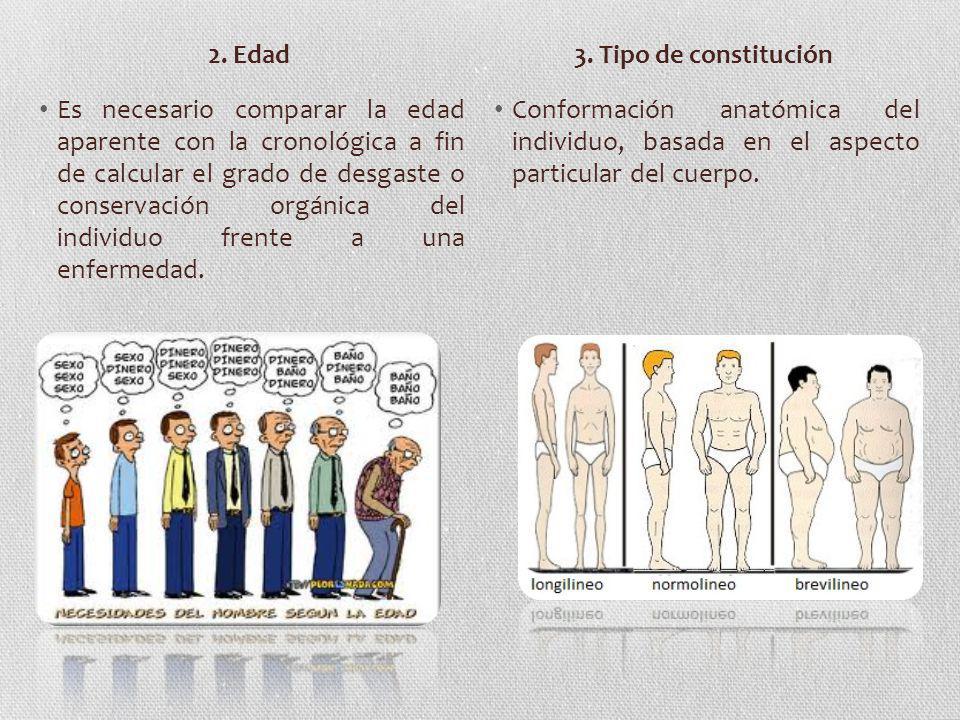 2. Edad 3. Tipo de constitución.