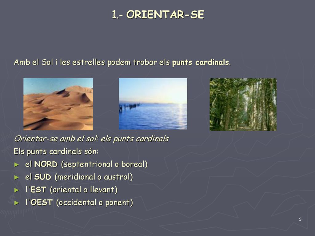 1.- ORIENTAR-SE Amb el Sol i les estrelles podem trobar els punts cardinals. Orientar-se amb el sol: els punts cardinals.