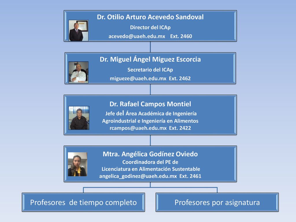 Profesores de tiempo completo Profesores por asignatura