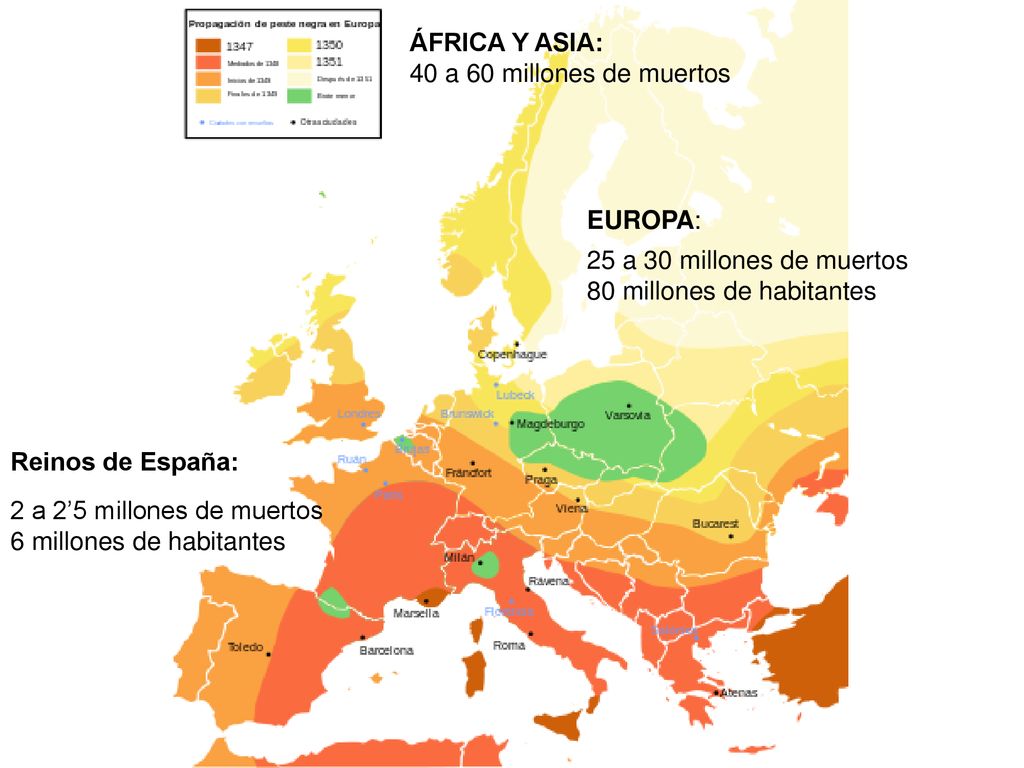 ÁFRICA Y ASIA: 40 a 60 millones de muertos. EUROPA: 25 a 30 millones de muertos. 80 millones de habitantes.