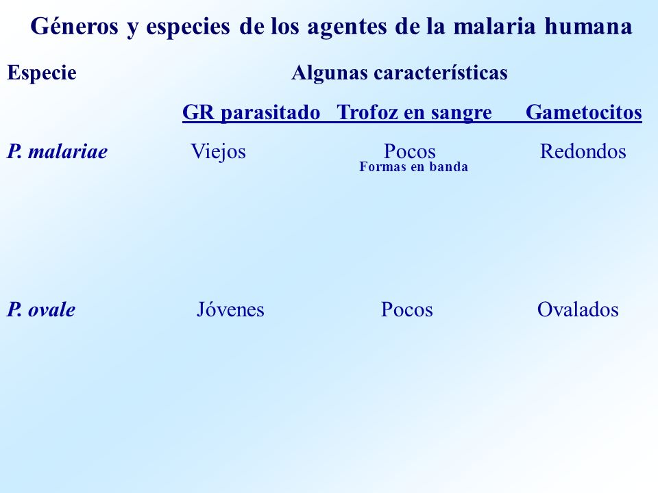 Géneros y especies de los agentes de la malaria humana