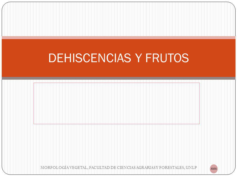 DEHISCENCIAS Y FRUTOS MORFOLOGÍA VEGETAL, FACULTAD DE CIENCIAS AGRARIAS Y FORESTALES, UNLP