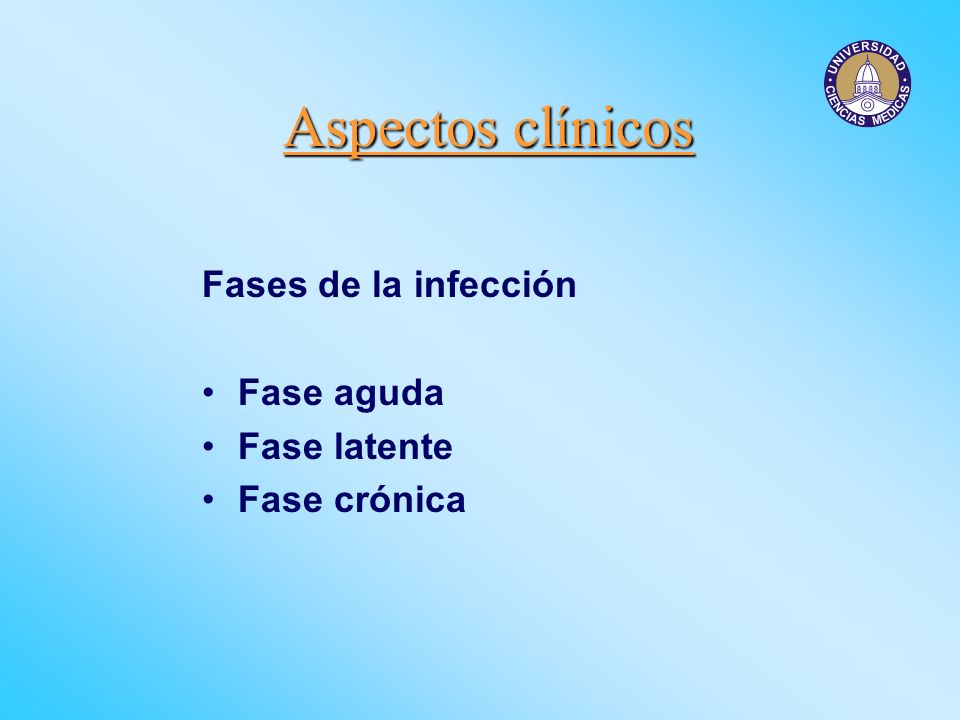 Aspectos clínicos Fases de la infección Fase aguda Fase latente