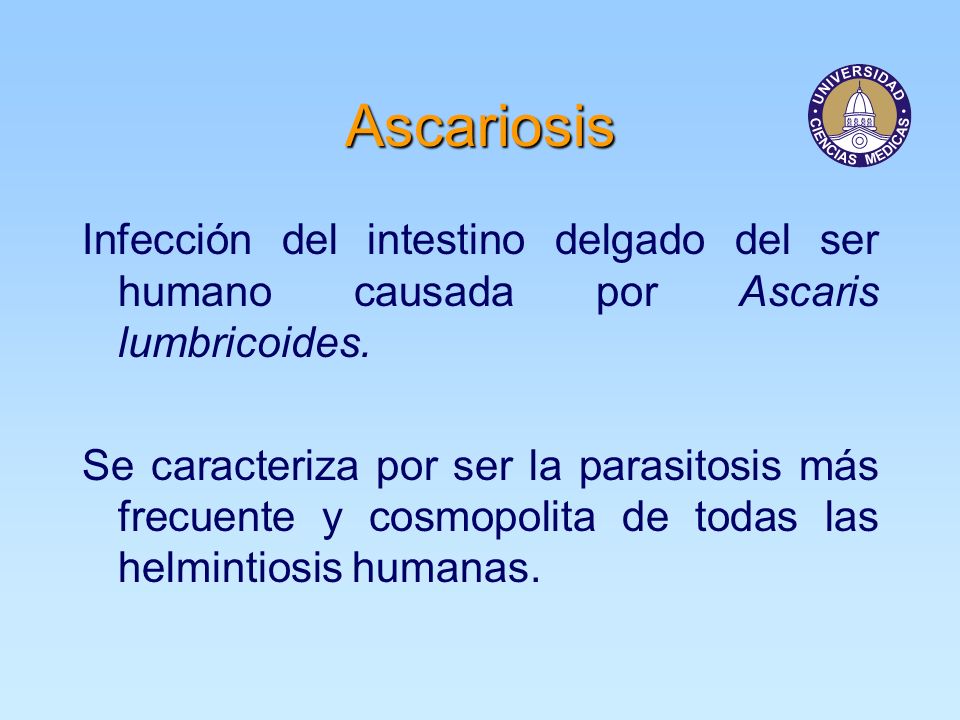 Ascariosis Infección del intestino delgado del ser humano causada por Ascaris lumbricoides.