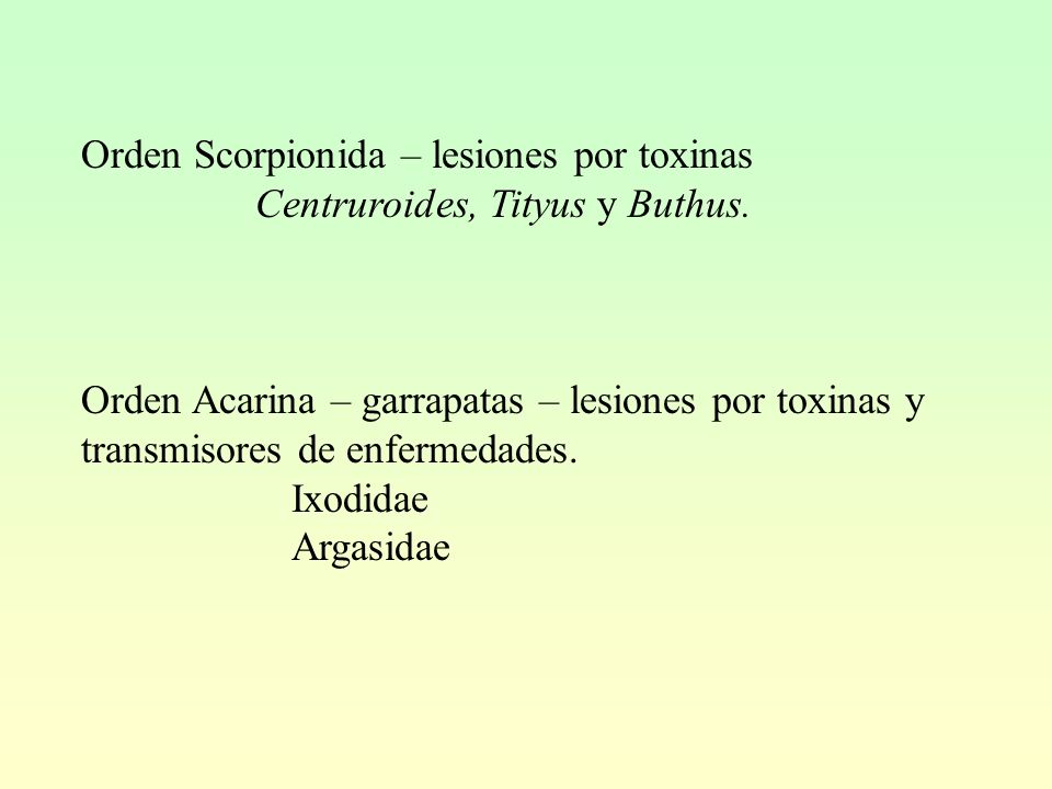 Orden Scorpionida – lesiones por toxinas