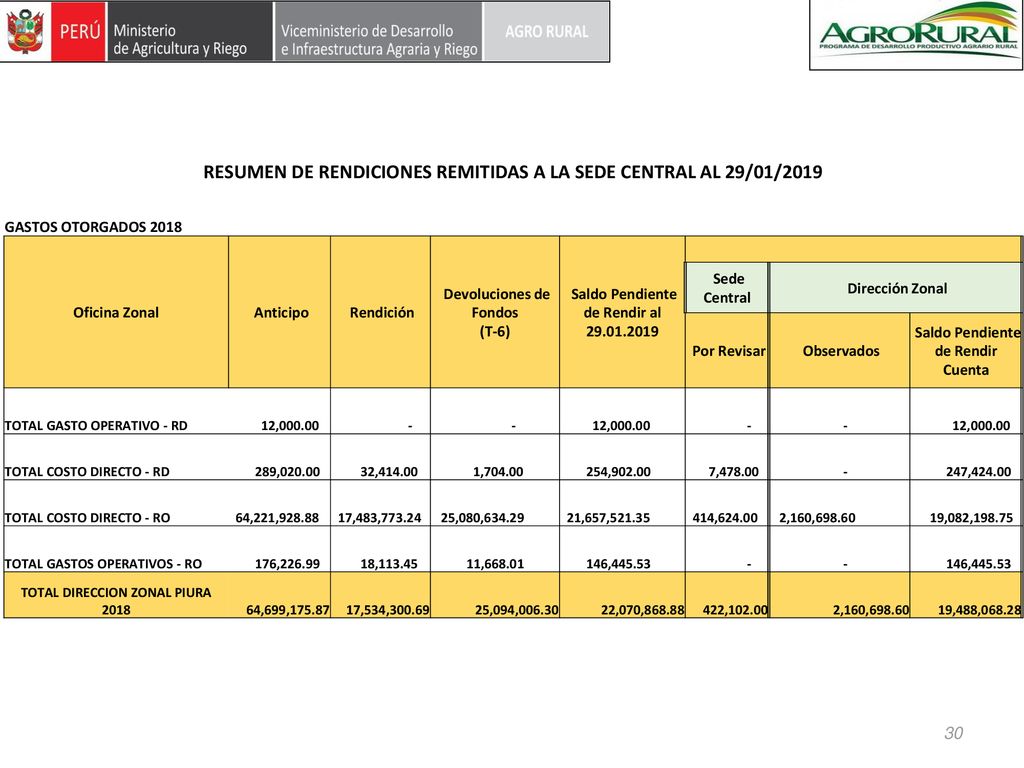 RESUMEN DE RENDICIONES REMITIDAS A LA SEDE CENTRAL AL 29/01/2019