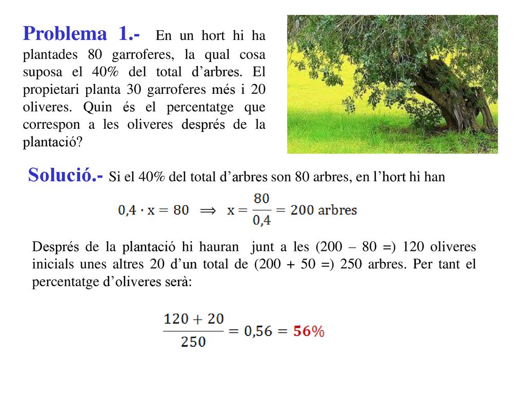 Solució.- Si el 40% del total d’arbres son 80 arbres, en l’hort hi han