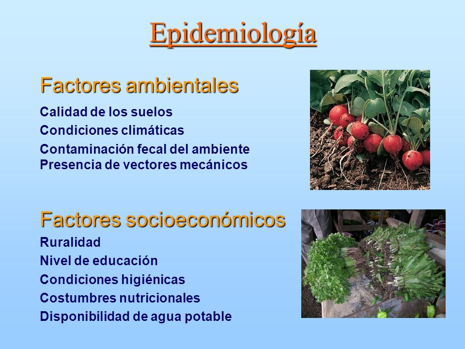 Epidemiología Factores ambientales Factores socioeconómicos