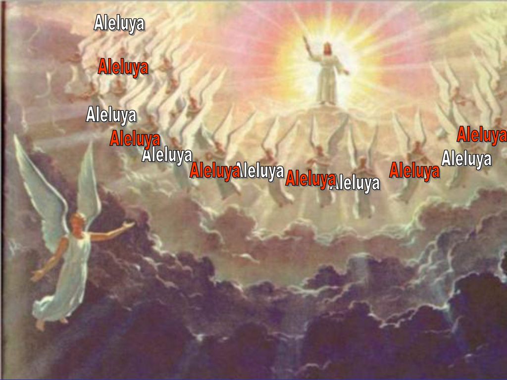 Aleluya Aleluya Aleluya Aleluya Aleluya Aleluya Aleluya Aleluya Aleluya Aleluya Aleluya Aleluya