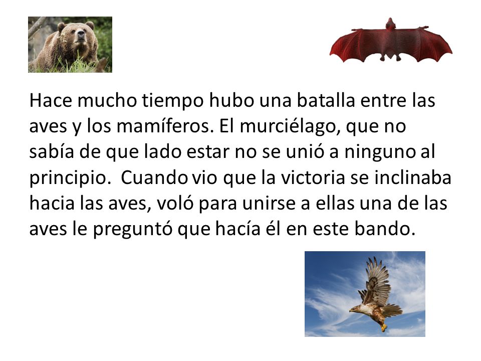 Hace mucho tiempo hubo una batalla entre las aves y los mamíferos