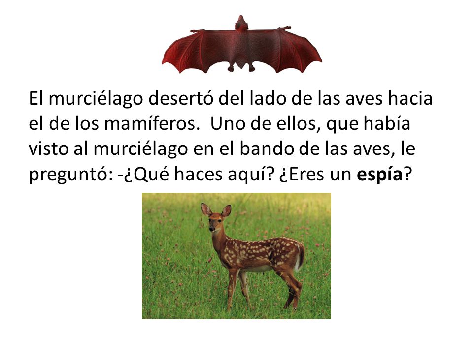 El murciélago desertó del lado de las aves hacia el de los mamíferos