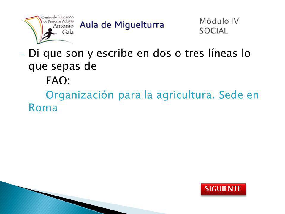 Di que son y escribe en dos o tres líneas lo que sepas de FAO: