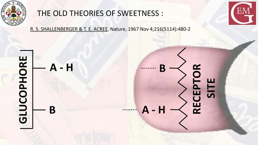 A - H B RECEPTOR GLUCOPHORE SITE B A - H