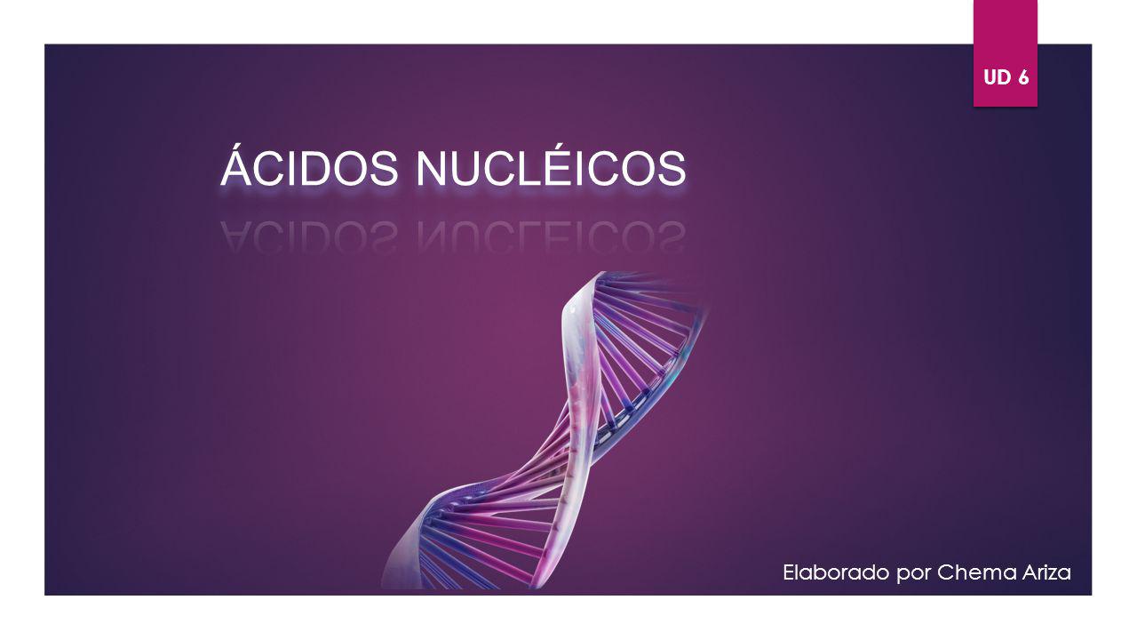 UD 6 ÁCIDOS NUCLÉICOS Elaborado por Chema Ariza