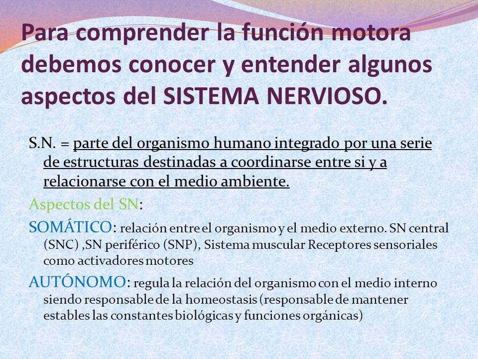 Para comprender la función motora debemos conocer y entender algunos aspectos del SISTEMA NERVIOSO.
