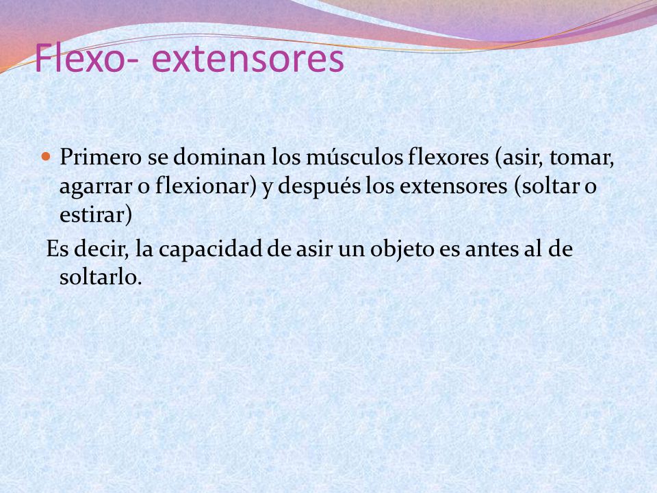 Flexo- extensores Primero se dominan los músculos flexores (asir, tomar, agarrar o flexionar) y después los extensores (soltar o estirar)