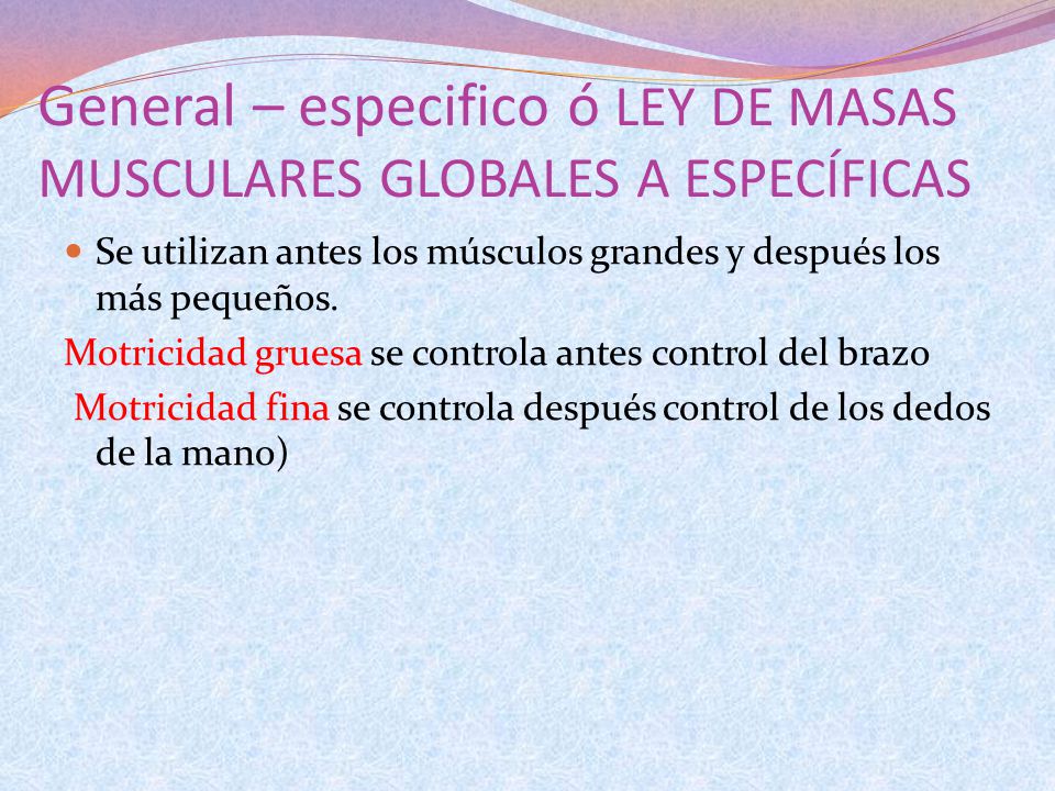 General – especifico ó LEY DE MASAS MUSCULARES GLOBALES A ESPECÍFICAS