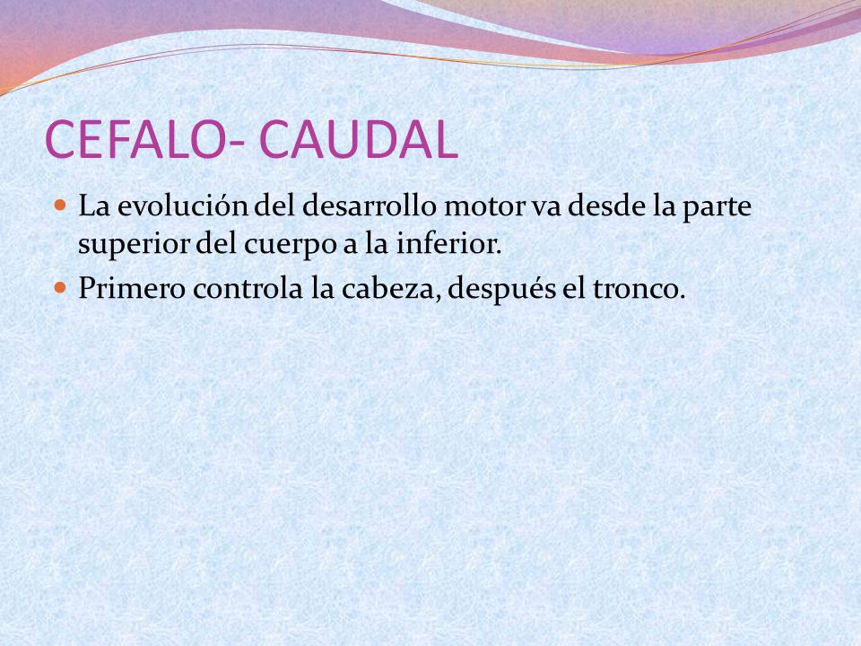 CEFALO- CAUDAL La evolución del desarrollo motor va desde la parte superior del cuerpo a la inferior.