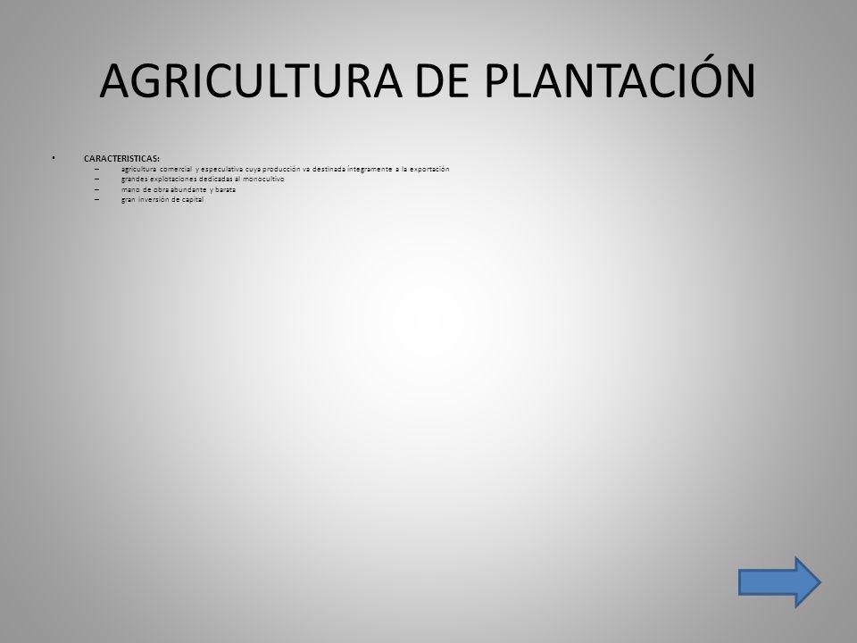 AGRICULTURA DE PLANTACIÓN