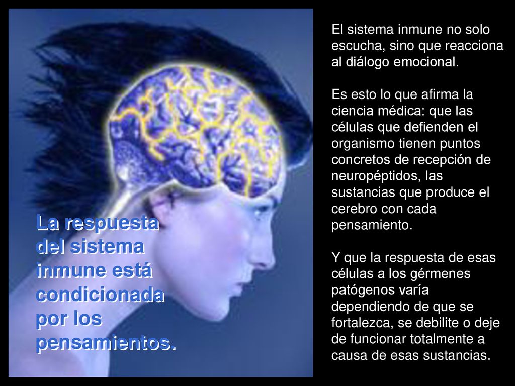 El sistema inmune no solo escucha, sino que reacciona al diálogo emocional.