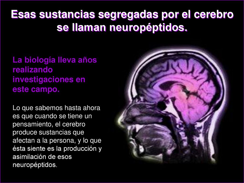 Esas sustancias segregadas por el cerebro se llaman neuropéptidos.