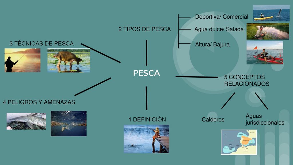 PESCA Deportiva/ Comercial 2 TIPOS DE PESCA Agua dulce/ Salada