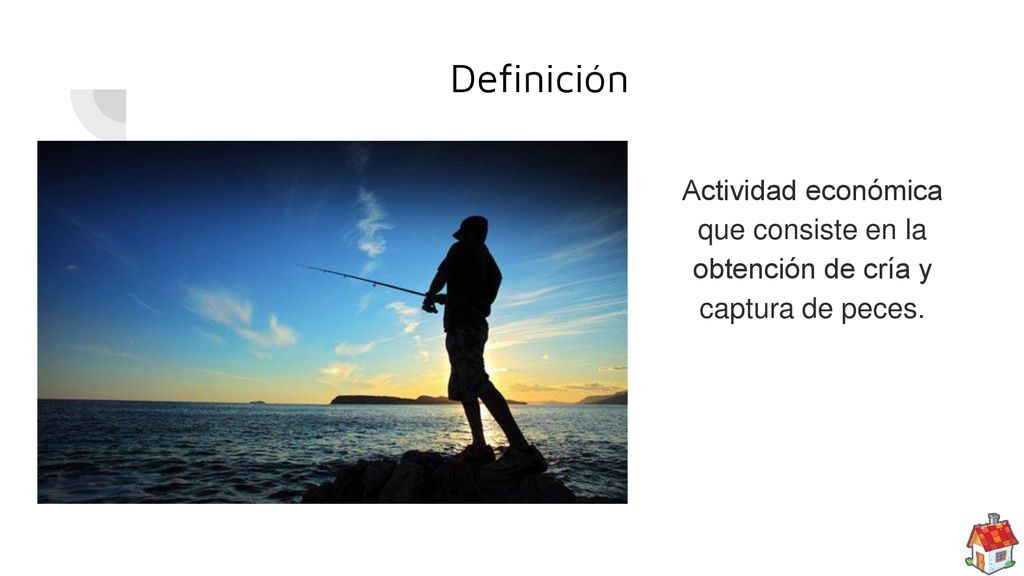 Definición Actividad económica que consiste en la obtención de cría y captura de peces.