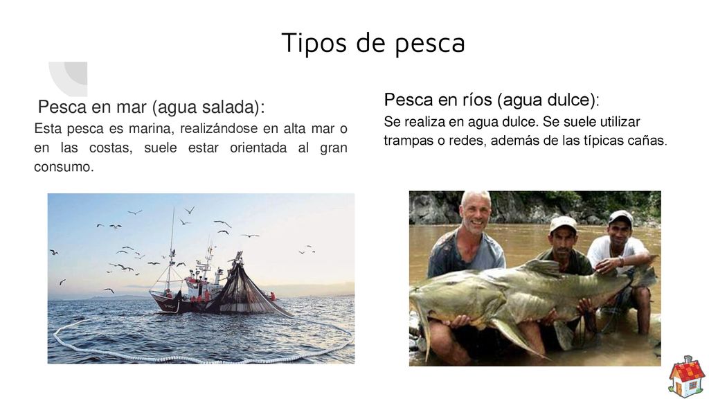 Tipos de pesca Pesca en ríos (agua dulce):