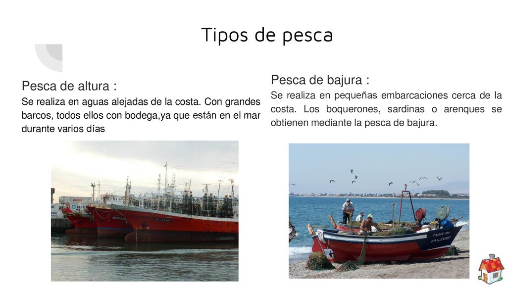 Tipos de pesca Pesca de bajura : Pesca de altura :