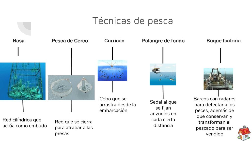Sedal al que se fijan anzuelos en cada cierta distancia