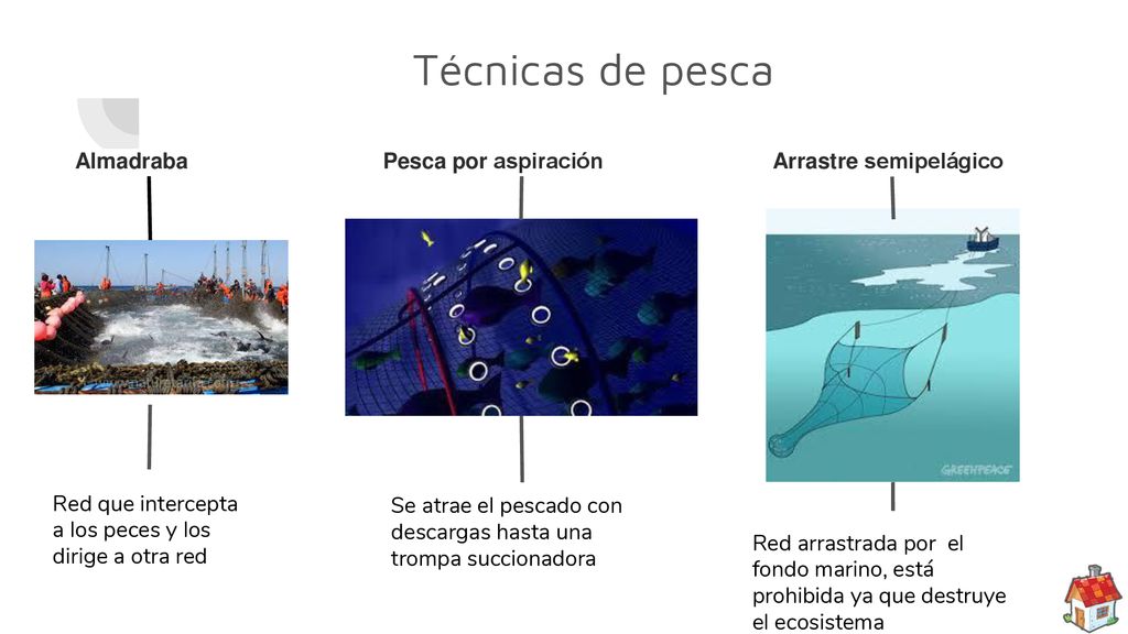 Técnicas de pesca Almadraba Pesca por aspiración Arrastre semipelágico