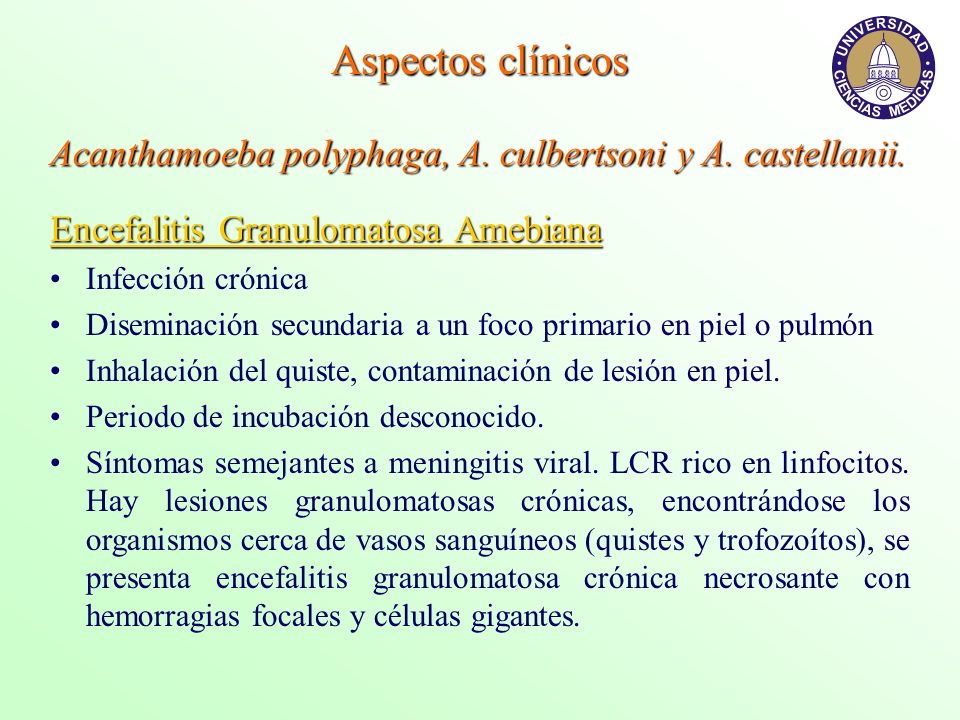 Aspectos clínicos Acanthamoeba polyphaga, A. culbertsoni y A. castellanii. Encefalitis Granulomatosa Amebiana.